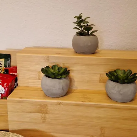 Apartment Omerbeg's *